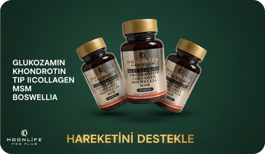 Moonlife Glucosamine Chondroitin Collagen Boswella Msm 90 Tablet